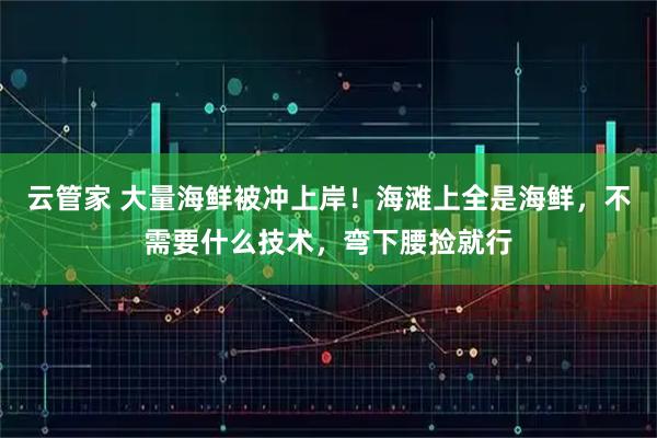 云管家 大量海鲜被冲上岸！海滩上全是海鲜，不需要什么技术，弯下腰捡就行