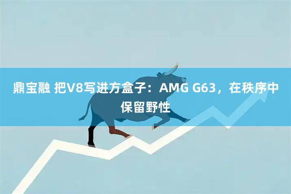 鼎宝融 把V8写进方盒子：AMG G63，在秩序中保留野性